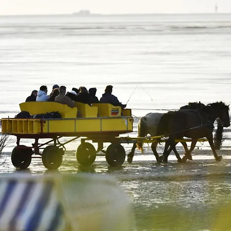 Strandhochhaus Sj07 شقة