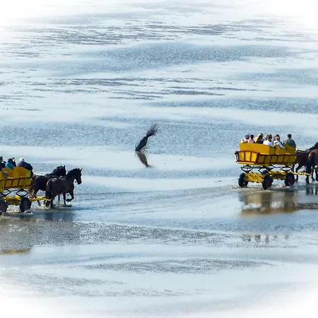Strandhochhaus Sj07 شقة *